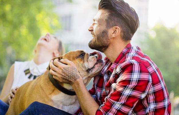 куче и човек