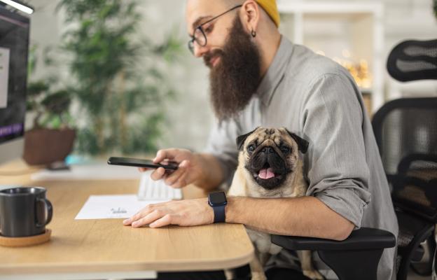 куче и човек