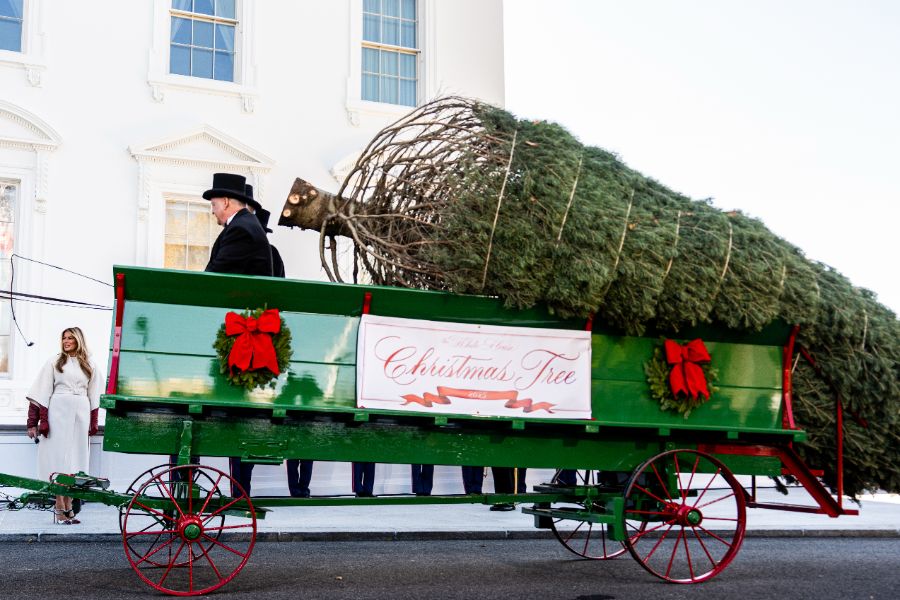 <p>Мелания Тръмп посрещна коледното дърво на Белия дом</p>