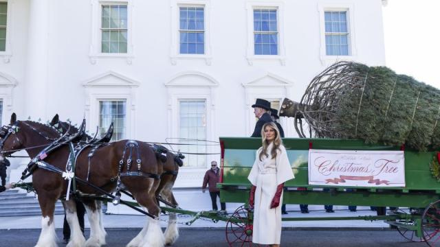 Мелания Тръмп се завърна към любимата си традиция – посрещна коледното дърво на Белия дом (СНИМКИ)