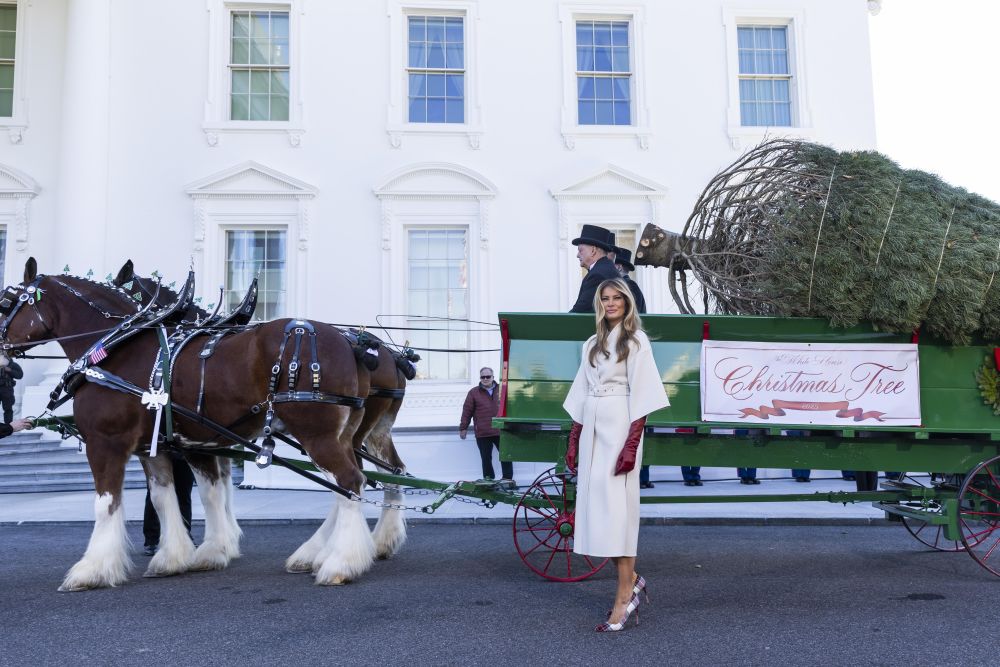 Първата дама Мелания Тръмп посрещна тазгодишното официално коледно дърво на Белия дом
