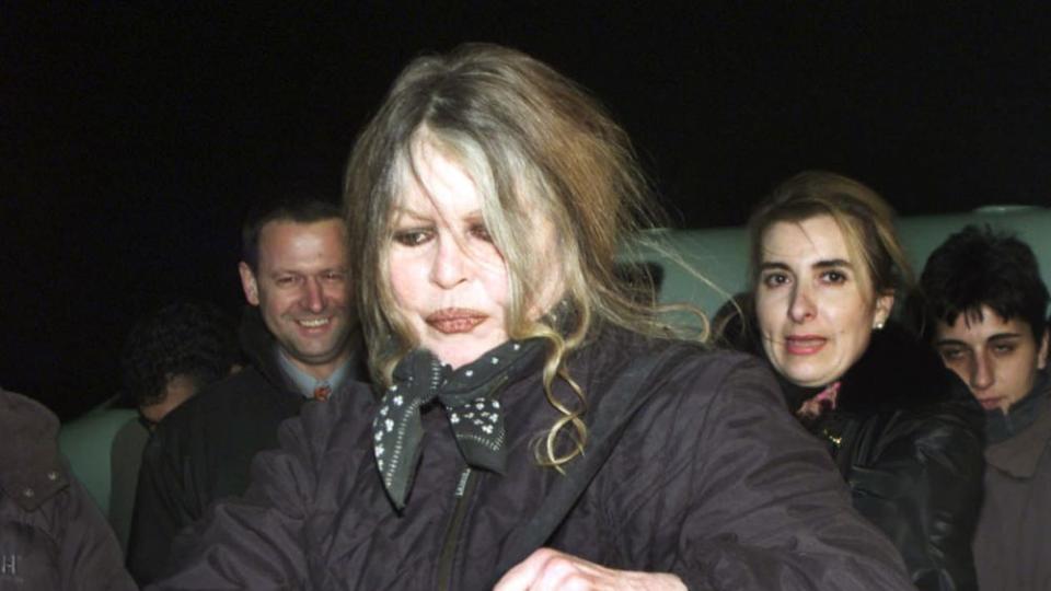 Бриджит Бардо — една от най-ярките икони на европейското кино,