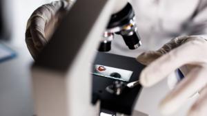 САЩ тестват универсална изкуствена кръв, която може да промени спешната медицина