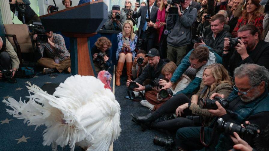 Тръмп помилва пуйки, но не пощади...