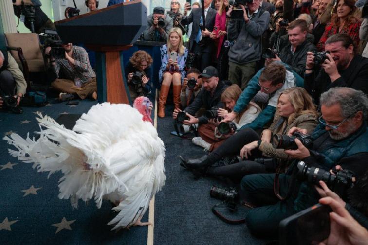 Тръмп помилва пуйки но не пощади политическите си опоненти