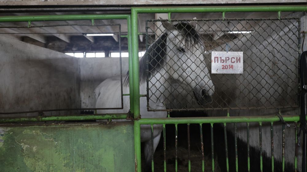 Конна полиция София