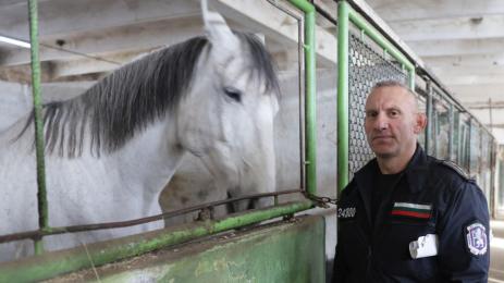 Конна полиция София