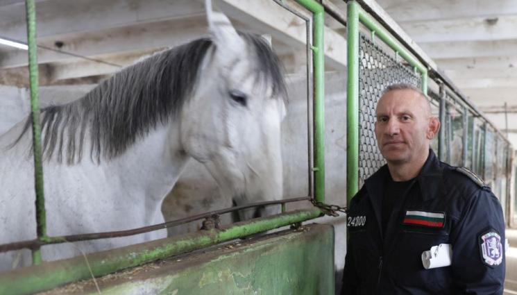 Конна полиция София - Конната полиция продава 11 верни служителя! (СНИМКИ)
