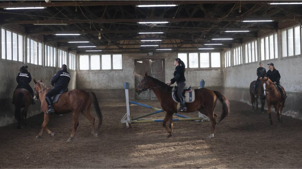 конна полиция