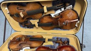 задържани цигулки