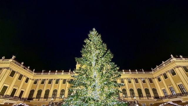 Виена през декември: Най-доброто време за магия, светлини и празничен дух (ГАЛЕРИЯ)