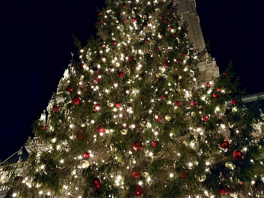 Коледно настроение във Виена