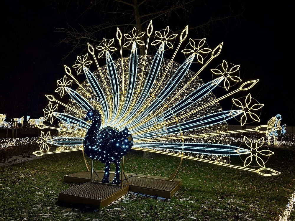 Коледно настроение във Виена