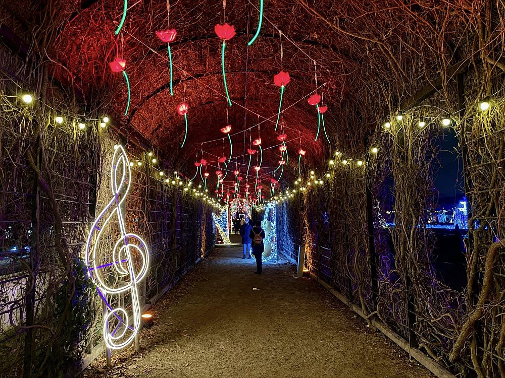 Коледно настроение във Виена