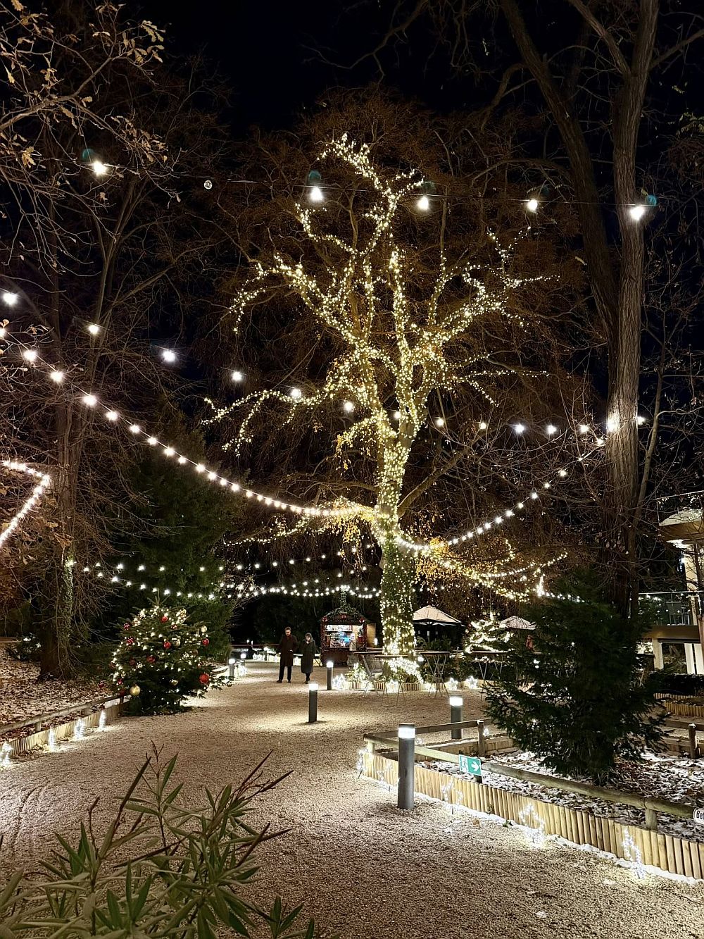 Коледно настроение във Виена