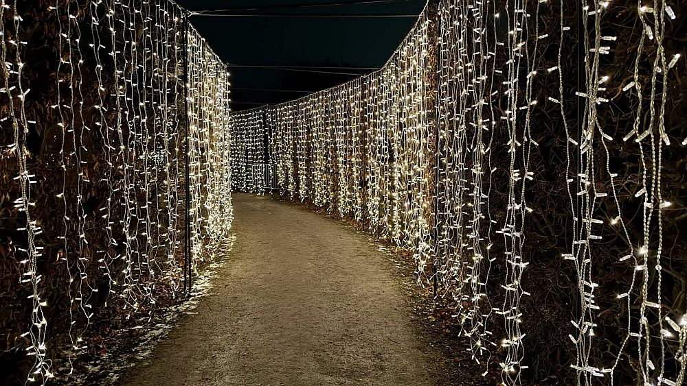 Коледно настроение във Виена