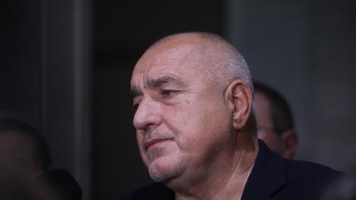 <p>Борисов: Каквото и да решат, за нас е все едно</p>