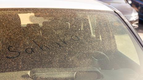 сахара прах