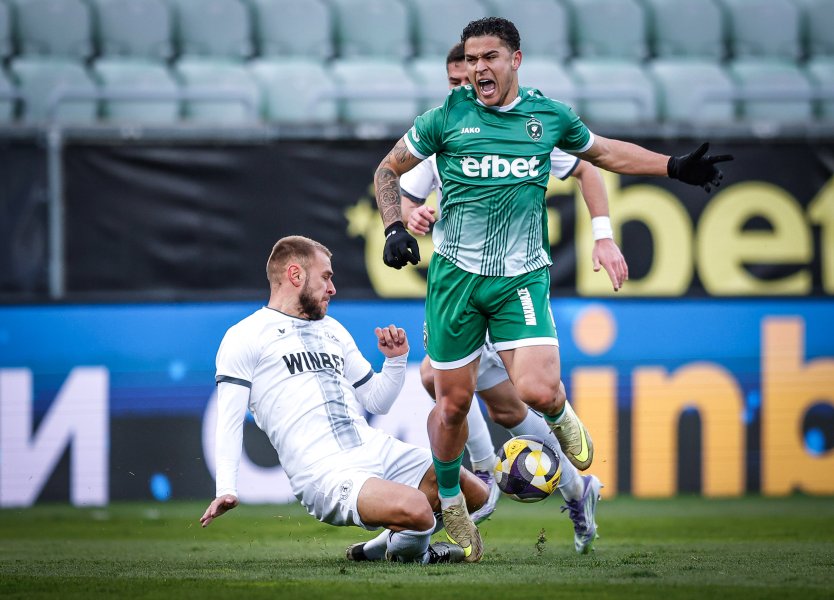 Лудогорец Ботев Враца1