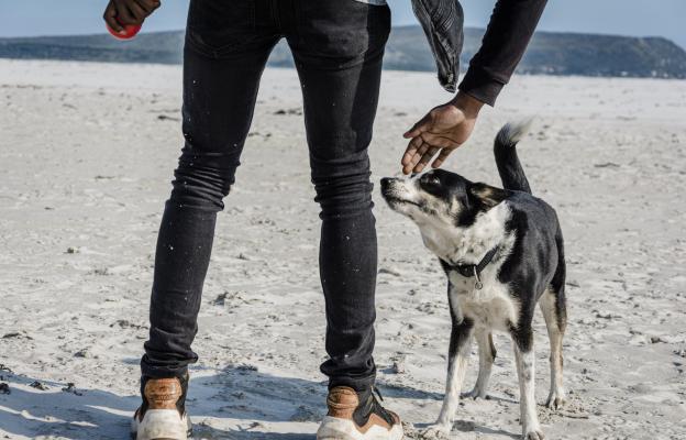 куче души човек