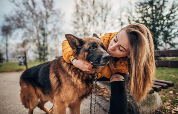 Немска овчарка