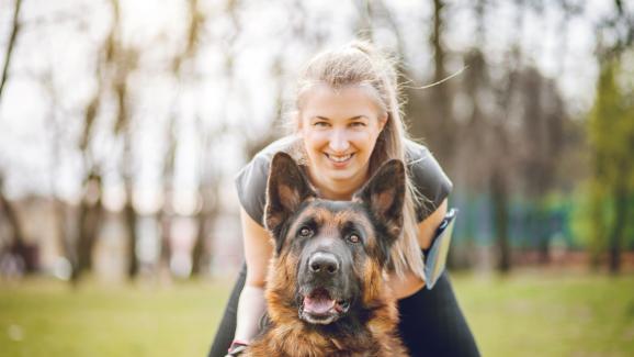 11 причини защо Немските овчарки са толкова популярни