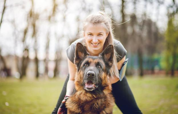 Немска овчарка