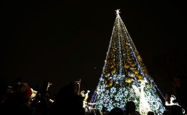 Светлините на коледната елха в София грейват тази вечер