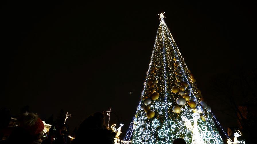 Светлините на коледната елха в София грейват тази вечер