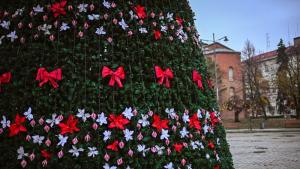 Светлините на коледната елха в София ще бъдат запалени тази