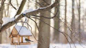 хранилка за птици