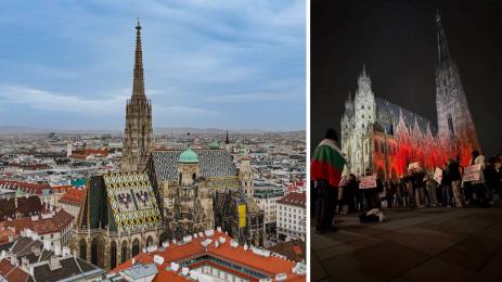 протест Виена