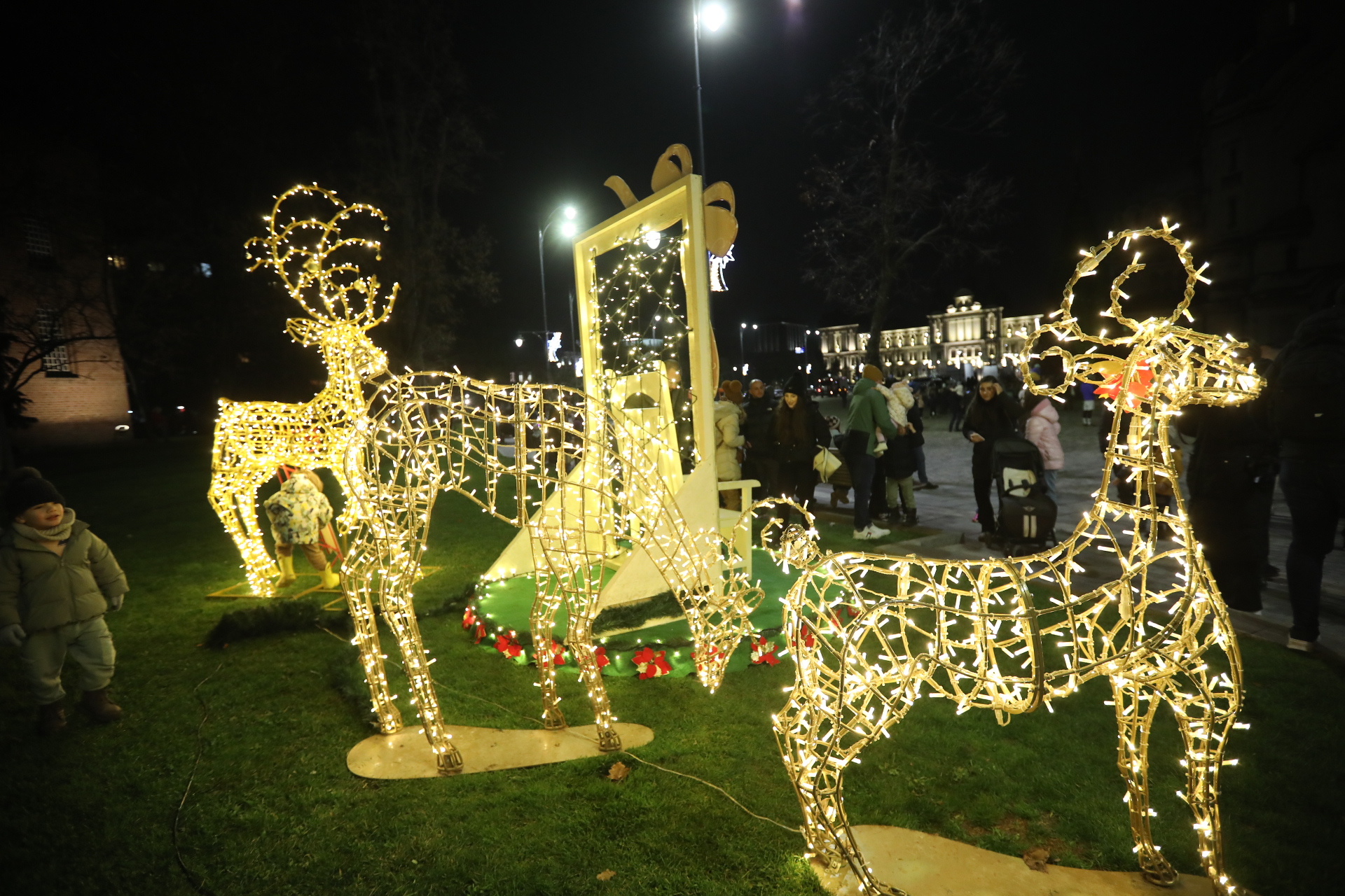 Коледната елха на София грейна с над 20 000 светлини