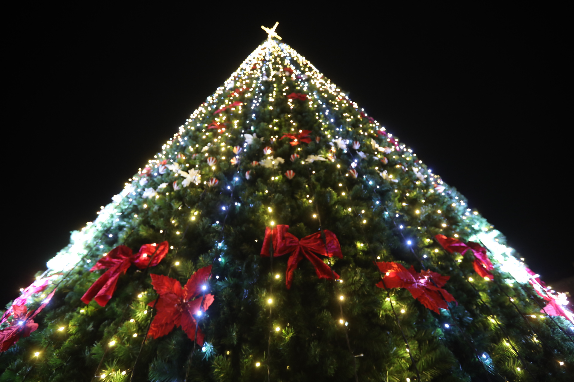 Коледната елха на София грейна с над 20 000 светлини