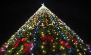 Коледната елха на София грейна с над 20 000 светлини