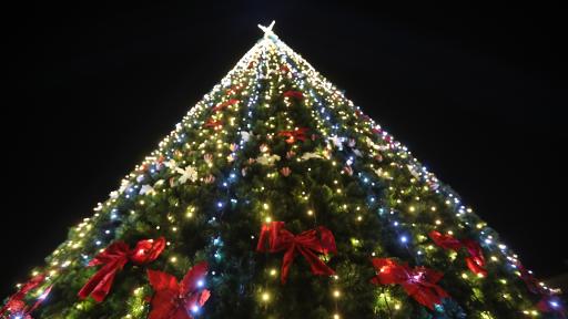 Коледната елха на София грейна с над 20 000 светлини