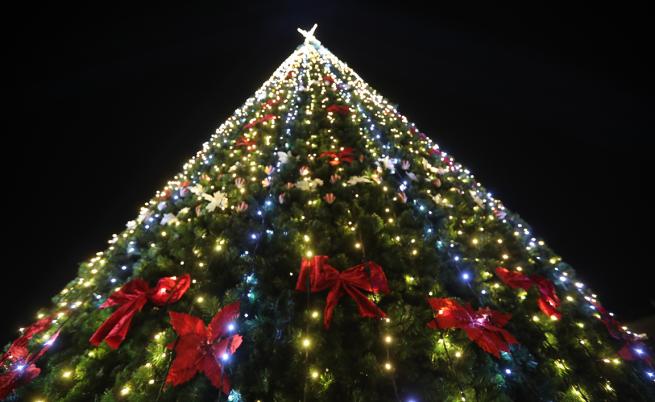 Коледната елха на София грейна с над 20 000 светлини