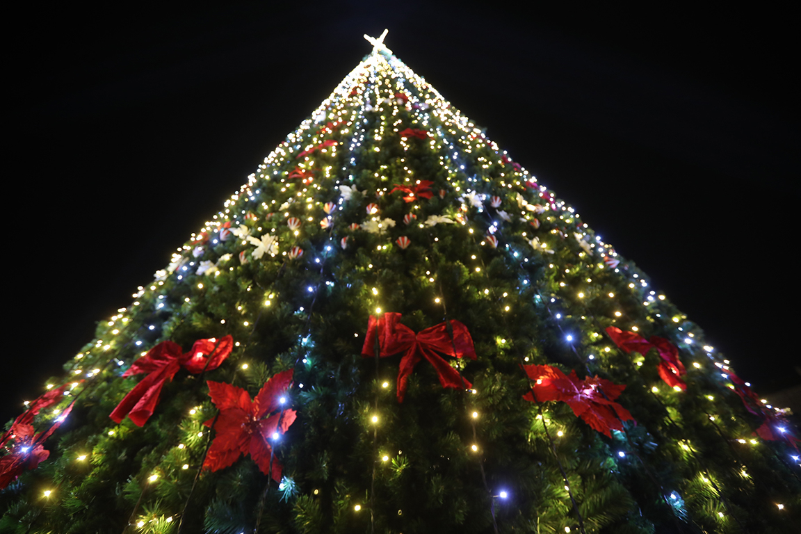 <p>София елха</p>