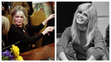 Брижит Бардо