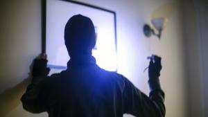 Крадец на картини