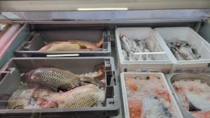 Риба Никулден