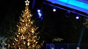 Първата дама на САЩ запали светлините на коледното дърво край Белия дом