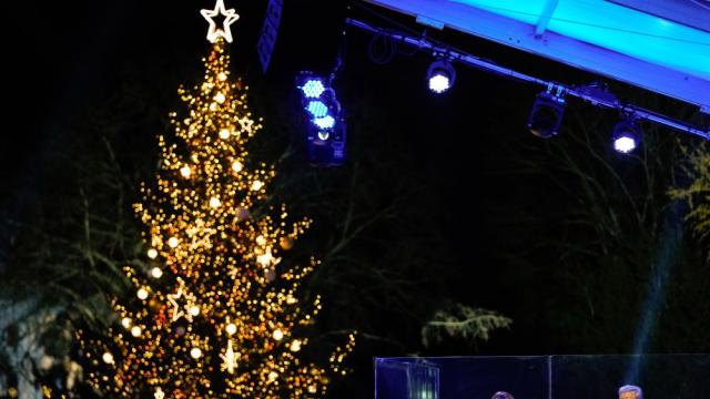 Мелания Тръмп запали светлините на коледното дърво до Белия дом (ВИДЕО)