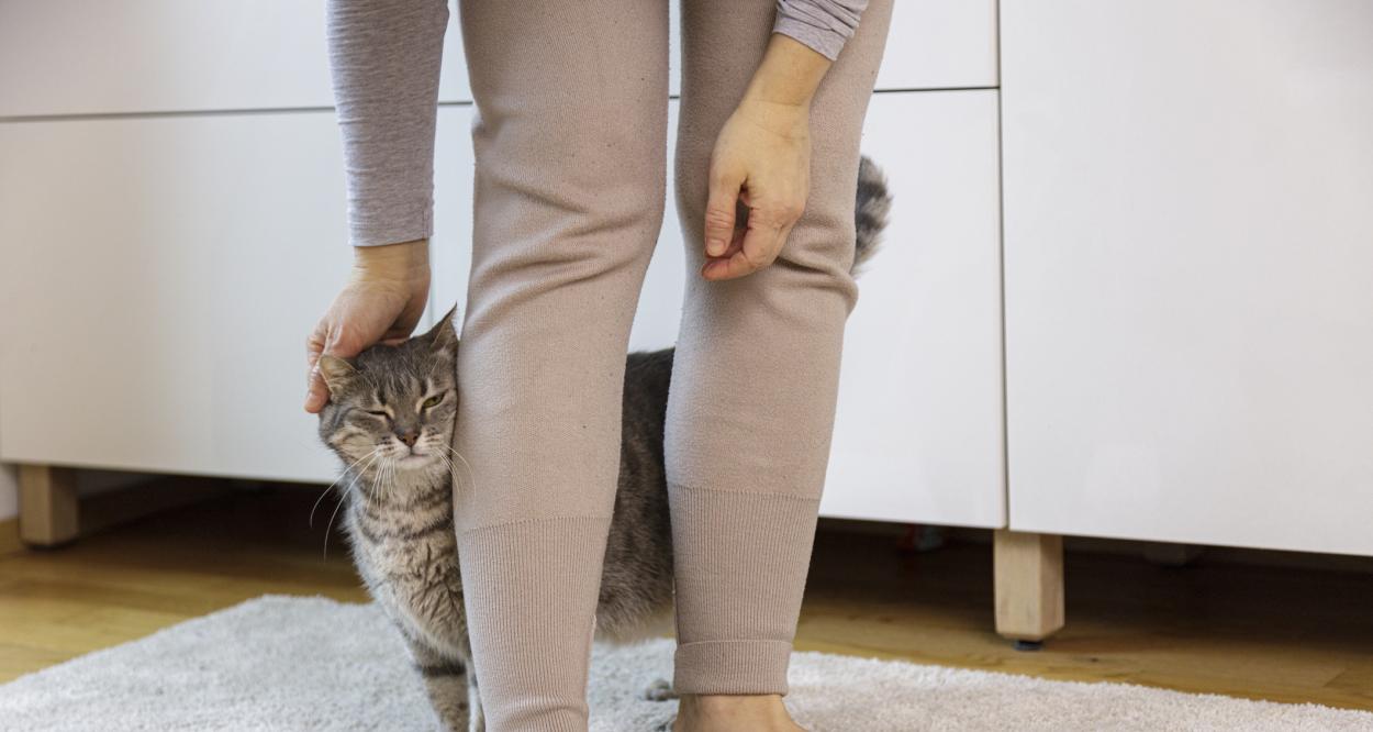 Котка се гали