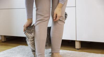 Котка се гали