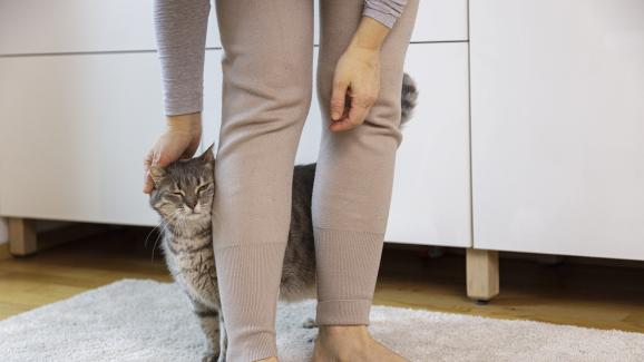 Какво означава, когато котката ви се върти около краката ви?