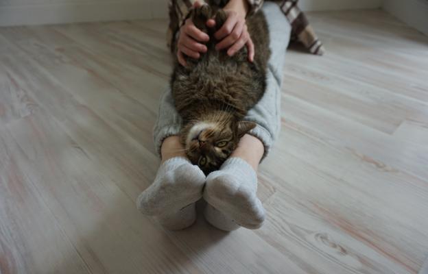 Котка се гали