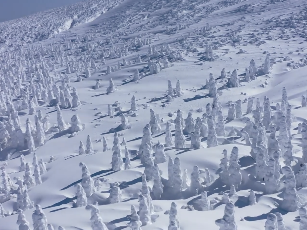 Снежните чудовища в Япония