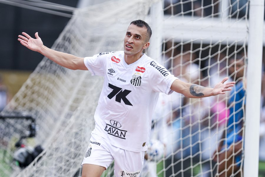 Сантос Крузейро1