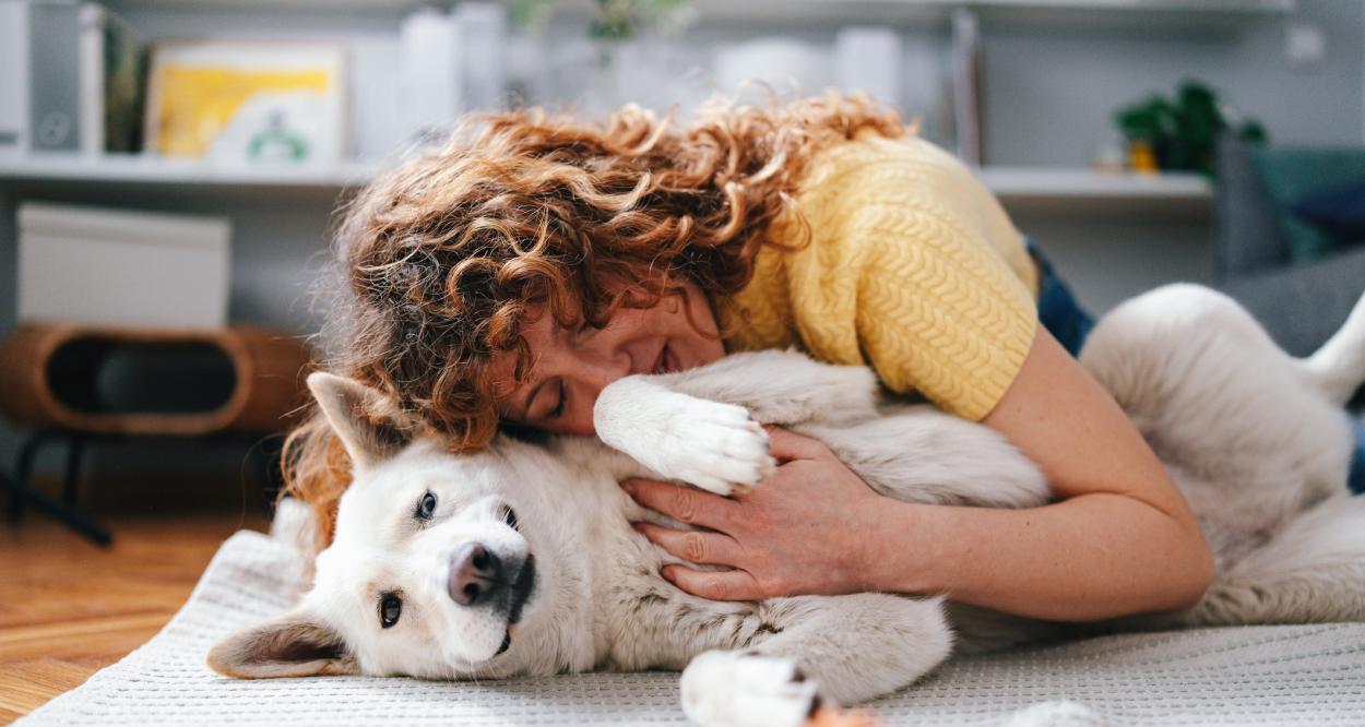 куче щастливо вкъщи